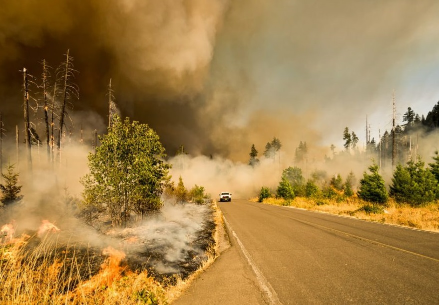 Read more about the article 4 Things You Need to Know About Wildfires in California Affecting Home Insurance